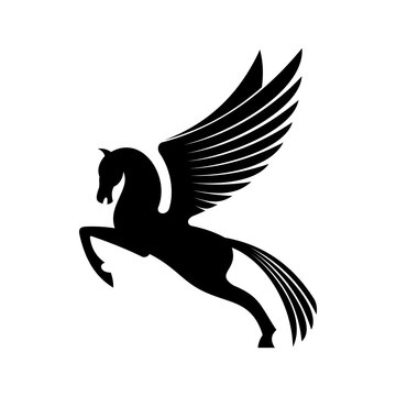 Mythical pegasus isolated winged horse. Vector heraldic animal, heraldry emblem, flying stallion