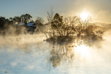 冬の熊本　浮島神社