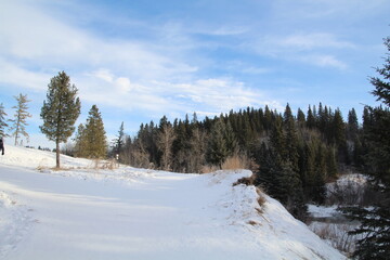 Fototapeta na wymiar Trail On The Ridge, Whitemud Park, Edmonton, Alberta