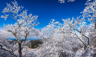 美しい白銀の世界 雪の霧島山系
