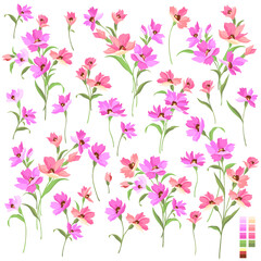Beautiful flower illustration material collection,