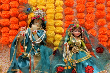 Fototapeta na wymiar Idol of Krishna and Radha beautifully dressed and decorated in colorful attire and jewelry, with a background of orange and yellow flowers, shot in landscape composition