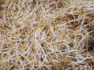 Caja de soja natural