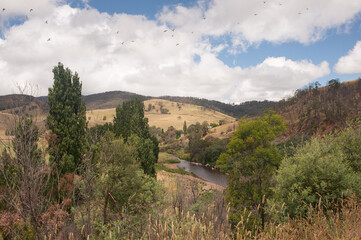 Fototapeta na wymiar Tambo River, Victoria, Australia