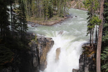 June On Sunwapta Falls, Jasper National Park, Alberta