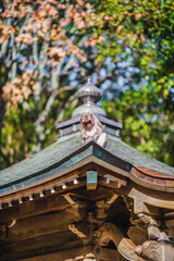 日本の猿　モンキー　干支