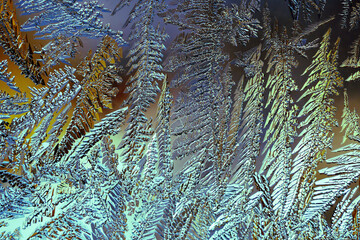 Fantasy ice crystal background. Blue, brown and yellow winter wallpaper. Drawing of frost on the window glass. A pattern of leaves and stems of magical fantastic plants. Abstract mystical backdrop