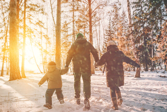 Family Walking In Winter Forest Park In Snowfall