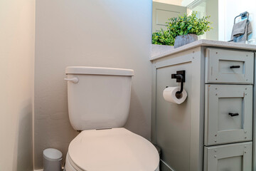 Toilet beside the bathroom vanity with artificial potted plant on the countertop