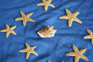 beautiful shell is prominent and is surrounded by starfish. Seashell on blue background
