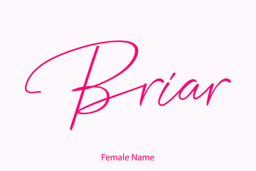 Briar Female name - in Stylish Lettering Cursive Typography Text Light Pink Background