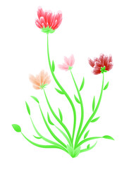 Illustrator of a beautiful plant with flowers of different colors