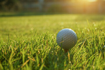 Golf ball on tee in the evening golf course with sunshine background. Golf ball on the green with warm tone and sunset.