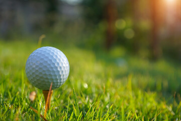Golf ball on tee in the evening golf course with sunshine background. Golf ball on the green with warm tone and sunset.