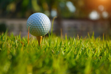 Golf ball on tee in the evening golf course with sunshine background. Golf ball on the green with warm tone and sunset.