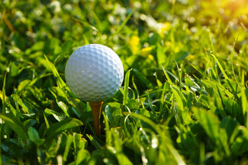 Golf ball on tee in the evening golf course with sunshine background. Golf ball on the green with warm tone and sunset.