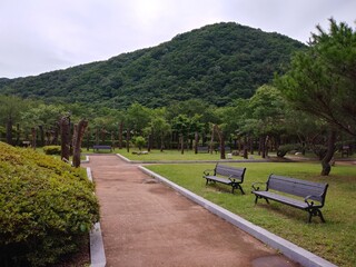 청양 장승공원