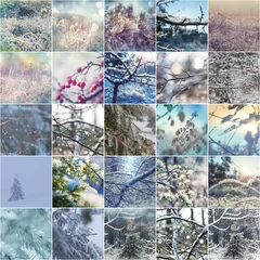Foto op Plexiglas Winter collage © Galyna Andrushko
