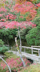 京都の秋、山寺の紅葉、小径を行く