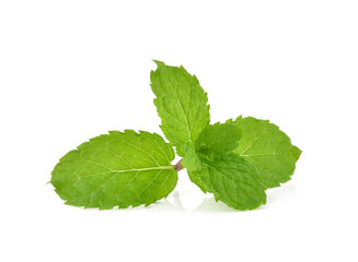 mint leafs herb. isolated on white background