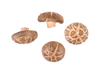Top view of Shiitake Mushrooms isolated on white background