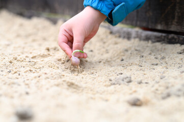 a kids hand planting a sprouted seed of garlic in a garden bed with sand in spring