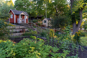 garden with gardening house at djurgården, sweden