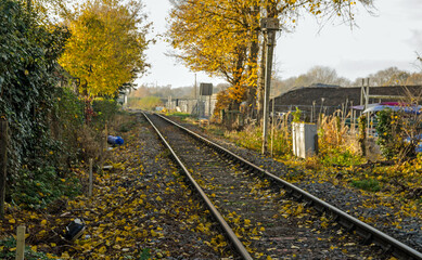 Railway Track, autumn