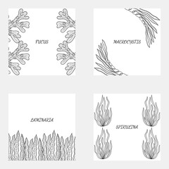 4 border seaweed sketch © rosad