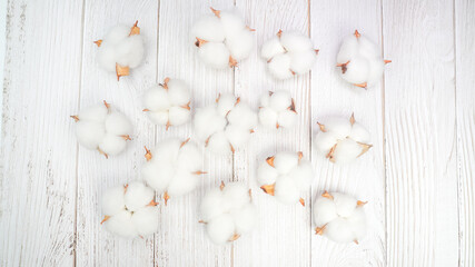 Flat lay composition with cotton flowers on white wooden background