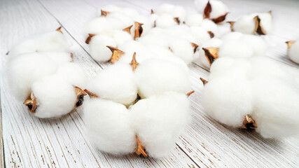 Flat lay composition with cotton flowers on white wooden background
