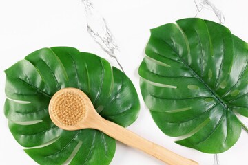 Long handle natural bristle brush for body skin care with monstera green leaves on white marble....