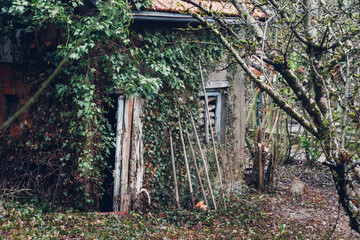 une vieille cabane de jardin abandonnée