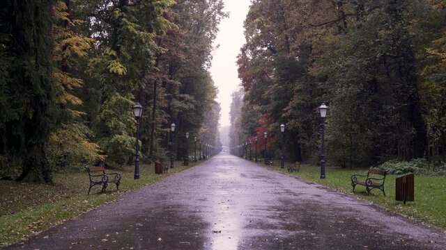 Walk trail at Maksimir park after an autumn rain, Croatia.
