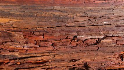 Fototapeta na wymiar Cracked red brown wood branch or trunk showing woodgrain detail