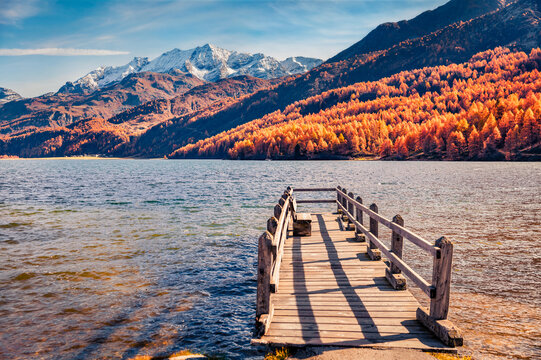 Landscape photography. Old wooden pier on Sils lake. Orange larch trees forest in Swiss Alps. Picturesque autumn view of Switzerland, Europe. Traveling concept background.