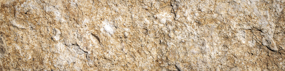 limestone rock with visible details. background or texture