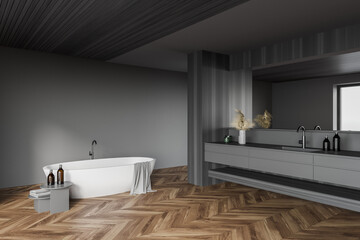 Fototapeta na wymiar Gray bathroom corner with tub and shower