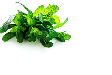 Fresh raw mint leaves isolated on white background.