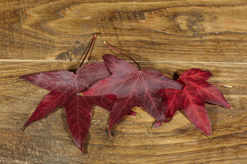 red leaves on wooden table. - 402801384