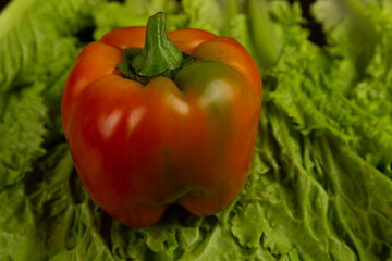 Fresh vegetables, red pepper lies on lettuce leaves on a dark wooden background. Fresh vegetables .