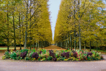 Stadtpark von Celle, Niedersachsen, Deutschland