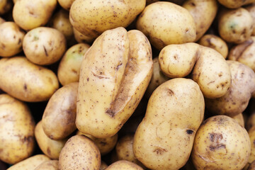There are spoiled potatoes on the counter. Selling non-fresh vegetables in the store. Close-up