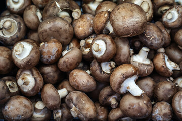 Royal mushrooms champignons on the counter in the store. Lots of facilities. Flat lay frame