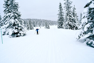 Cross country skiing in the mountains.  Family activity.
