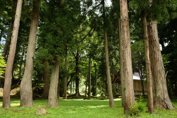 Shrine in the forest