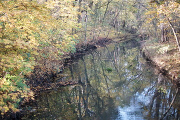 Autumn. Fall nature scene. Autumnal park.