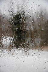 View of spruce through window with icy rain drops