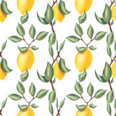 Spring seamless pattern with lemons and branches. Botany pattern. Lemons fruit, leaves and branch. Illustration for textile, wrapping paper, fabric, packing. Pattern on white background