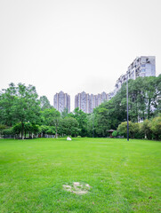Lawn in the park in spring